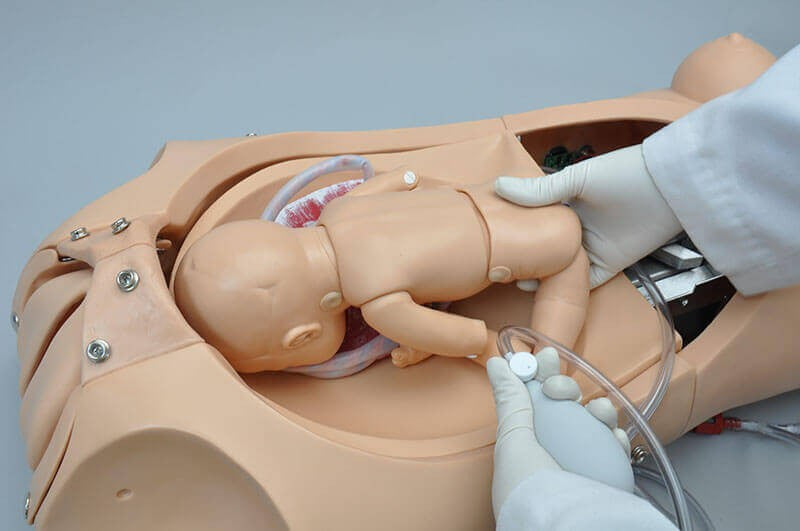 NOELLE Skills Trainer Package with OMNI Birthing Torso