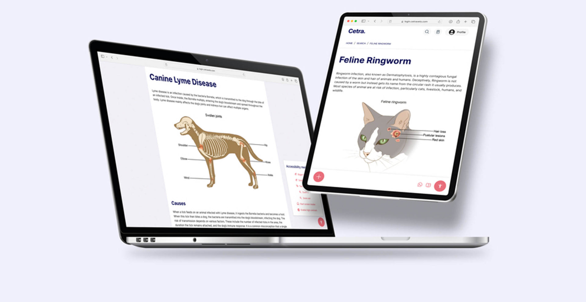 We are bridging the gap between veterinary experts and pet owners through our extensive collection of pet owner education materials. 