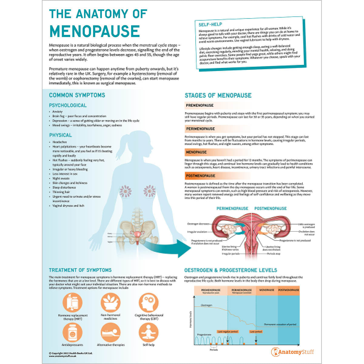 Women's Reproductive Health 4 Poster Collection | AnatomyStuff Posters