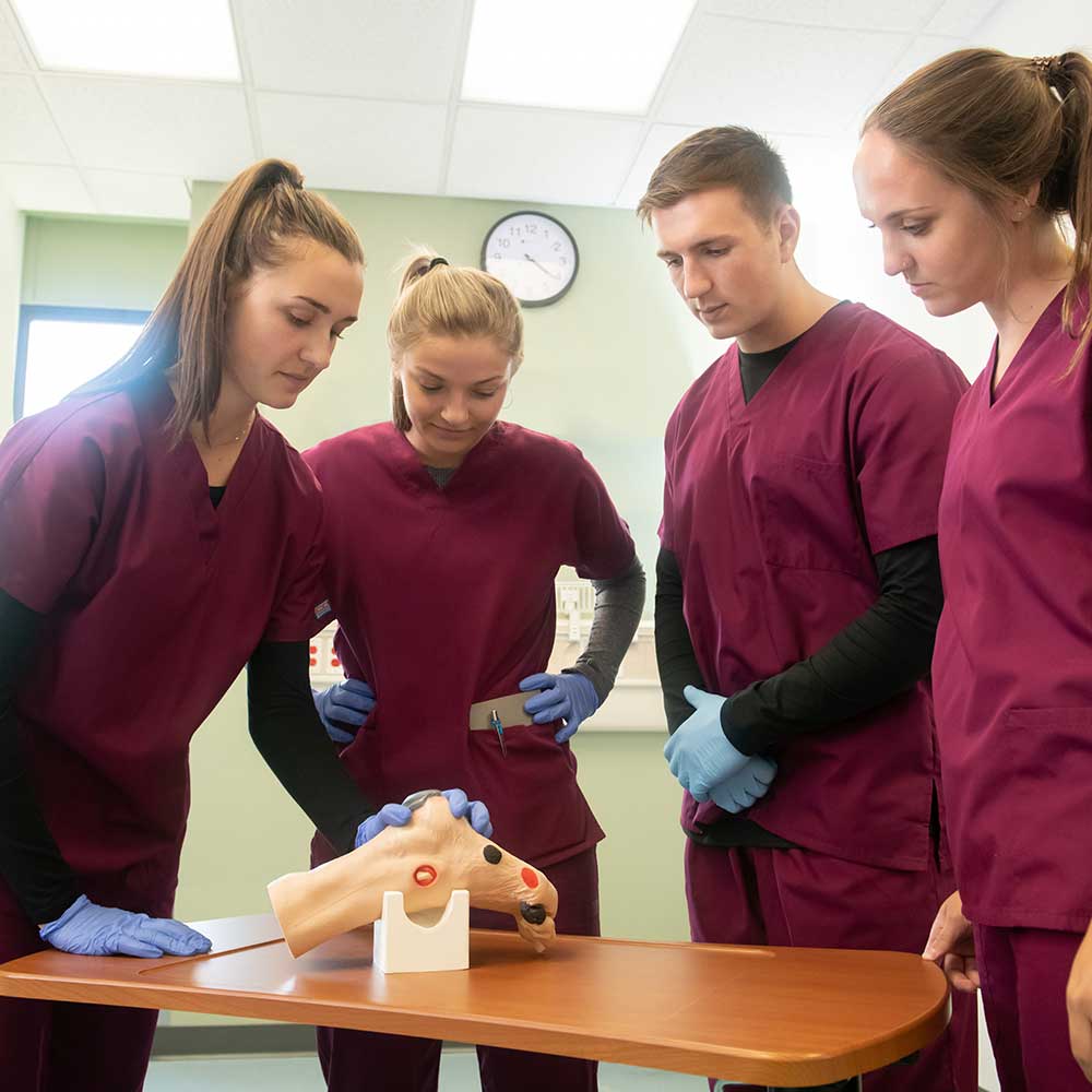 Wilma Wound Foot Trainer