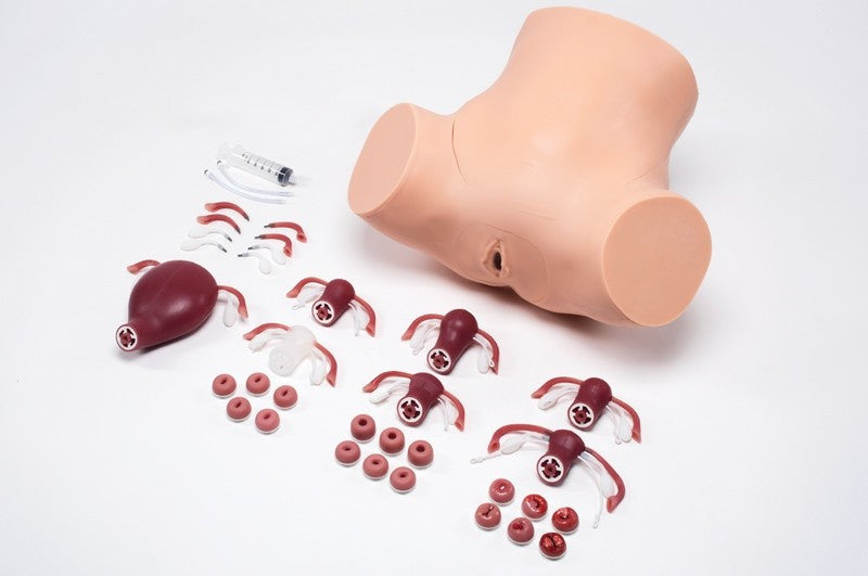 ZOE Advanced Gynaecological Skills Trainer