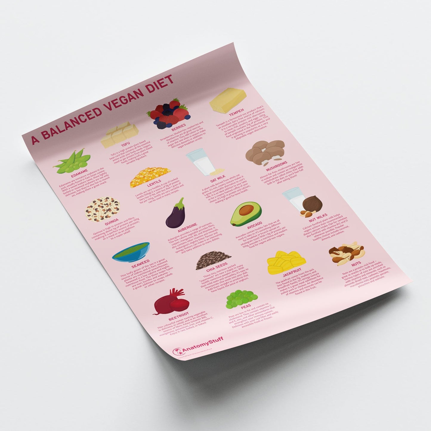 A Balanced Vegan Diet Chart / Poster - Part of Collection