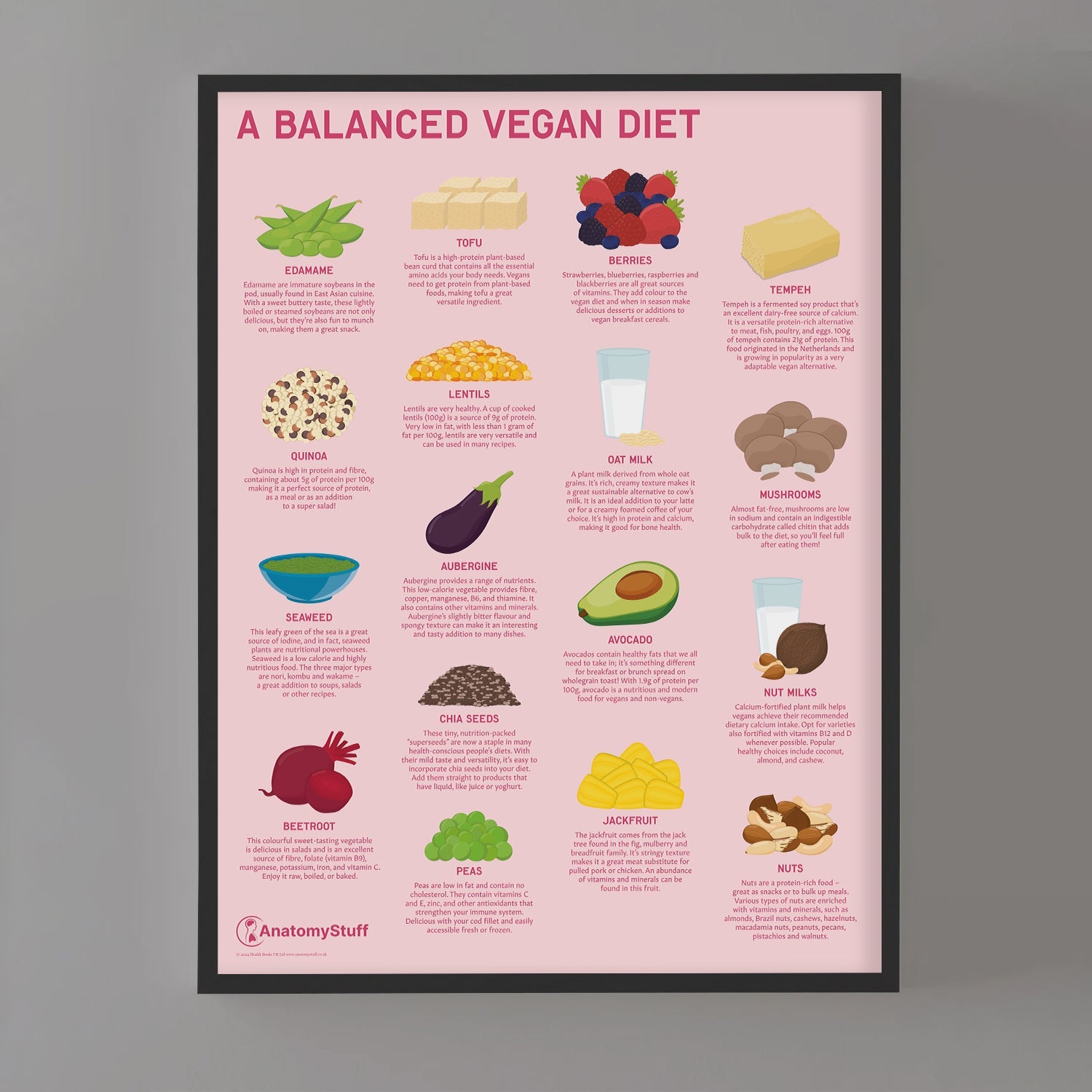 A Balanced Vegan Diet Chart / Poster - Part of Collection