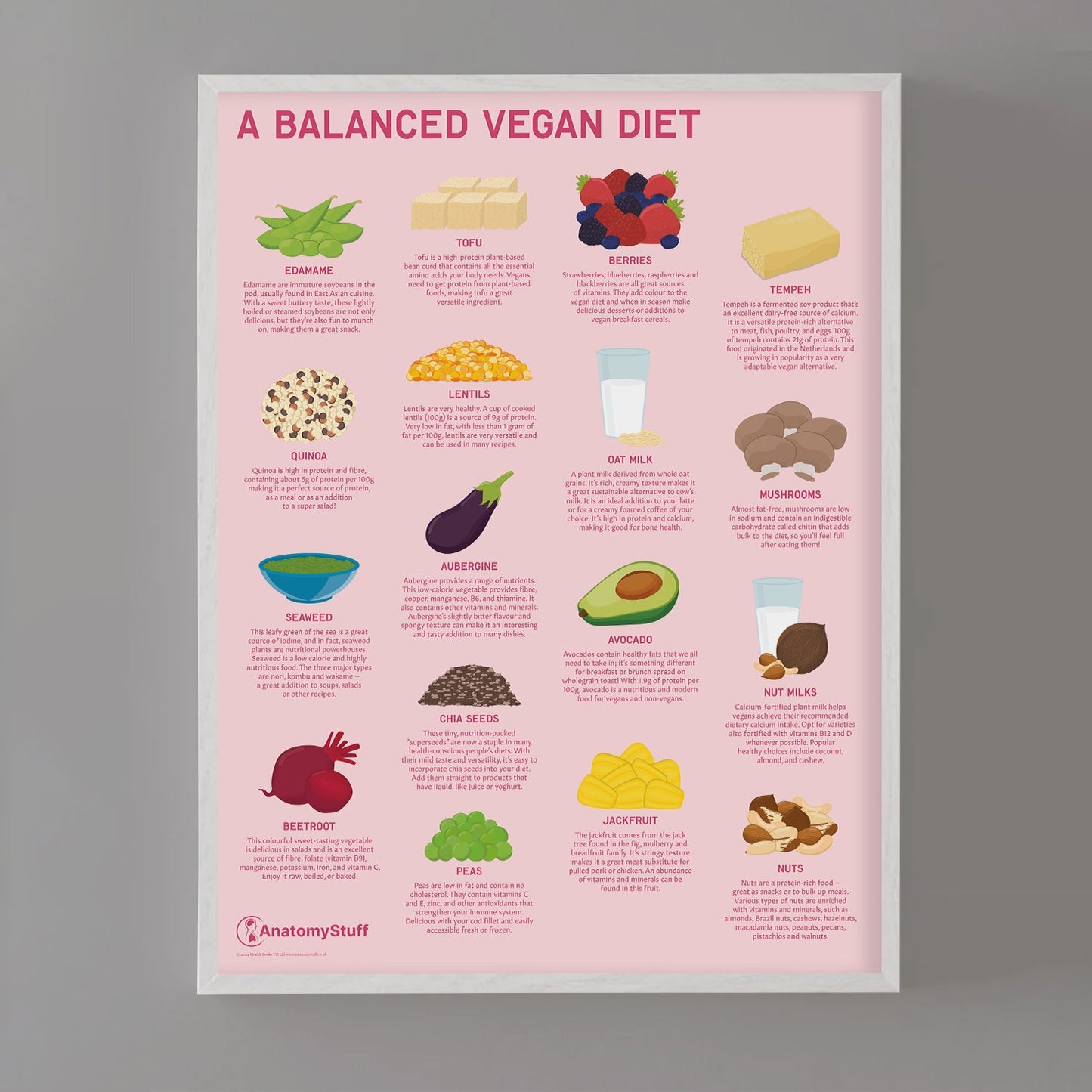 A Balanced Vegan Diet Chart / Poster - Part of Collection