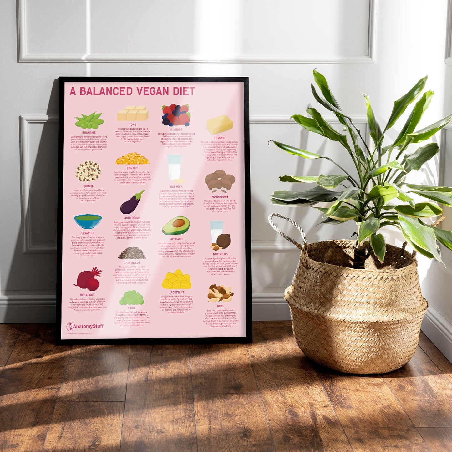 A Balanced Vegan Diet Chart / Poster - Part of Collection