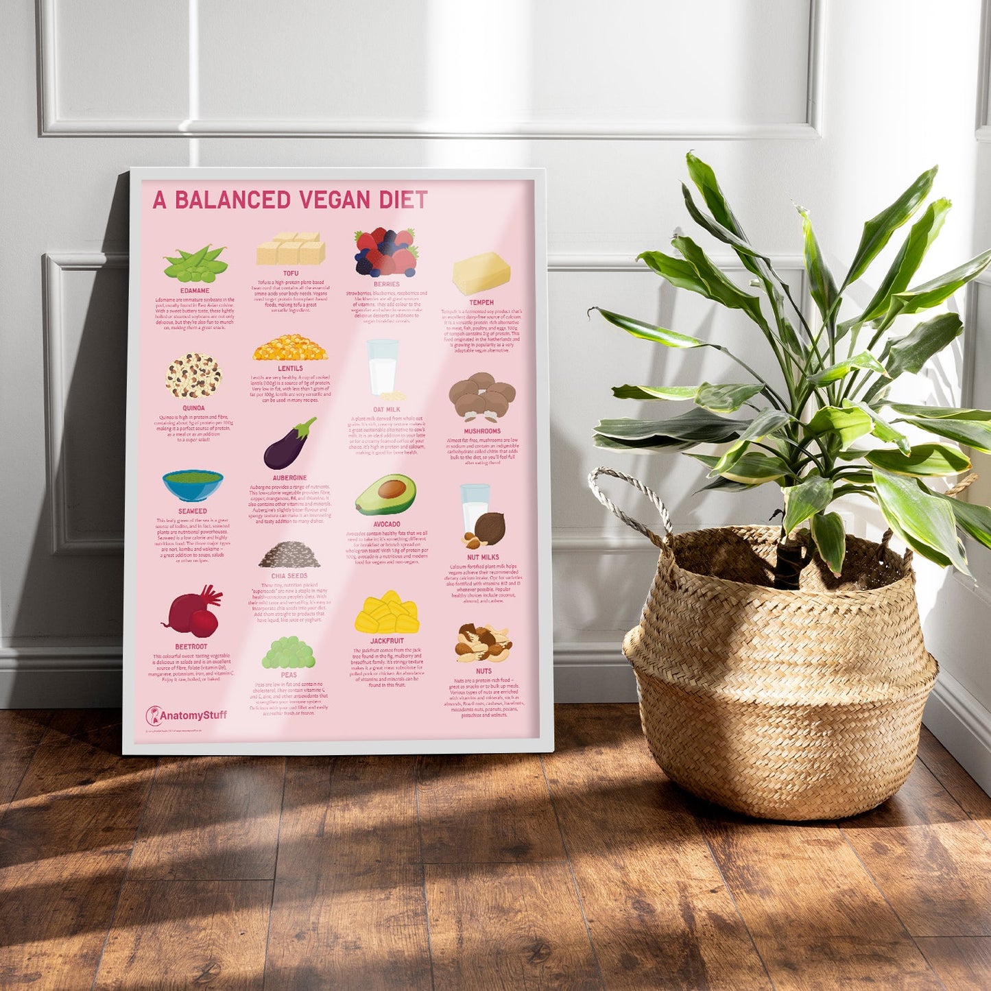 A Balanced Vegan Diet Chart / Poster - Part of Collection