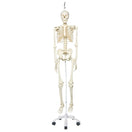 Switch 1020172 Stan Skeleton Hanging 2 image