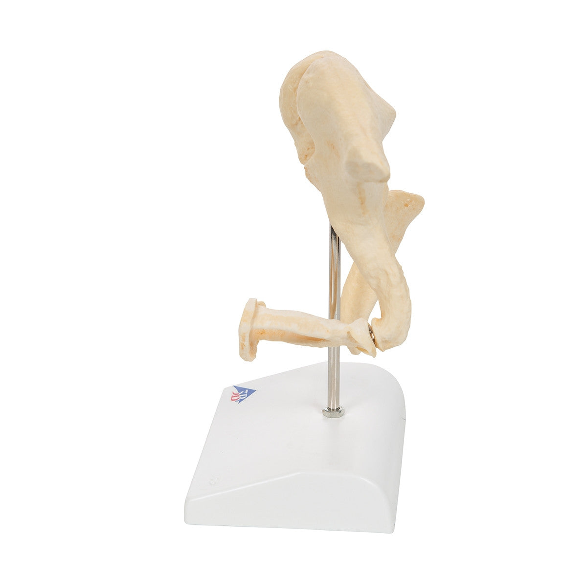 Image 5