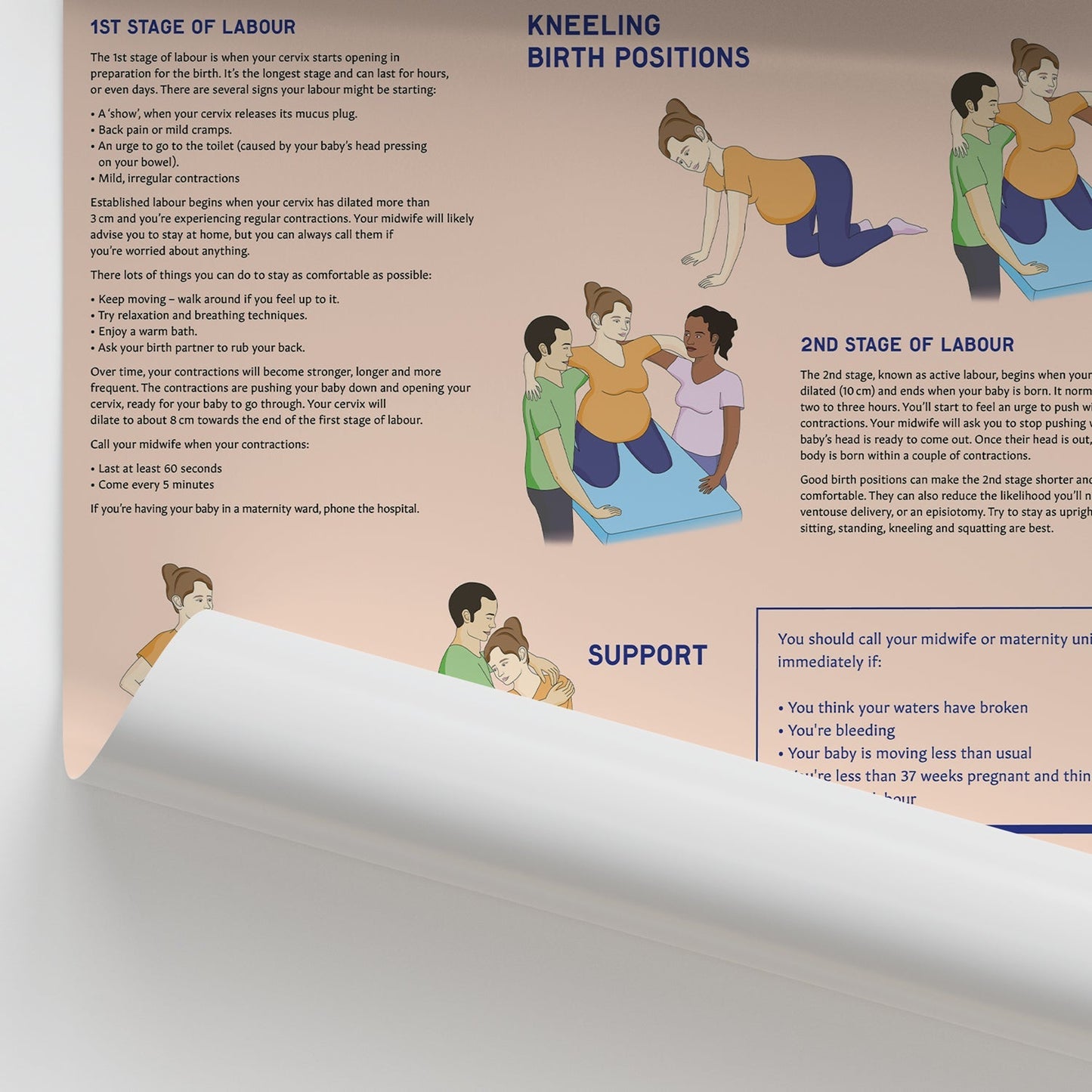 Active Childbirth (Positions for Labour) Chart / Poster - Part of Collection