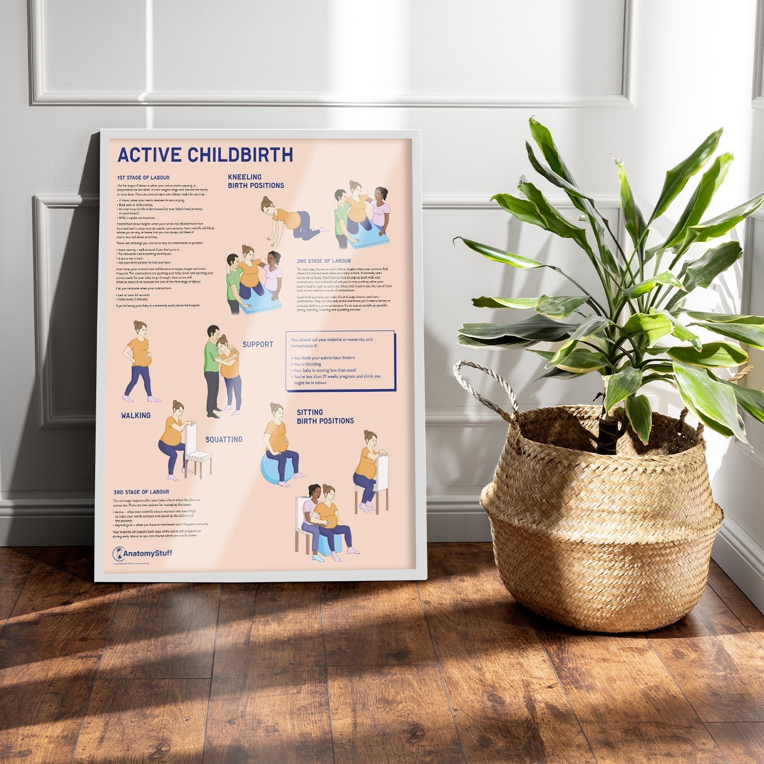 Active Childbirth (Positions for Labour) Chart / Poster - Part of Collection