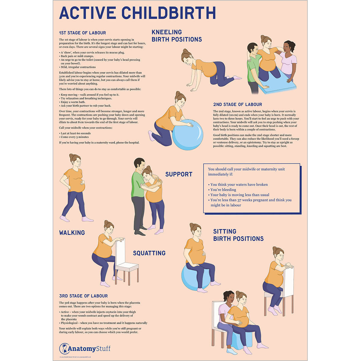 Antenatal 3 Chart Collection