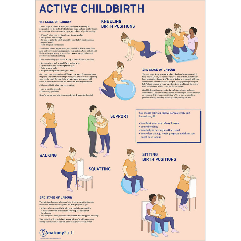 Antenatal 3 Chart Collection