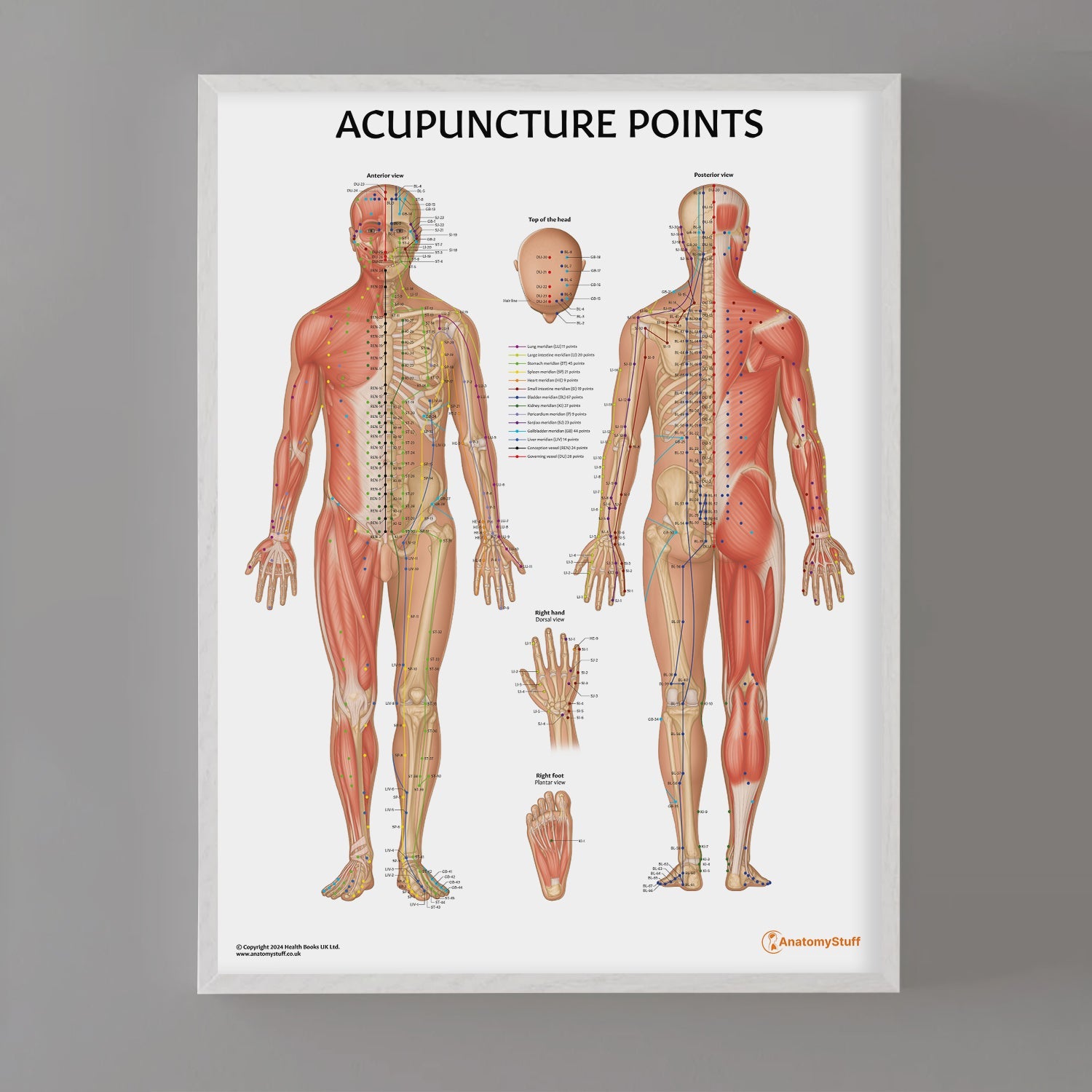 acupuncture-points-poster-body-meridians-anatomy-chart-anatomystuff for Free Printable Acupressure Points Chart Acupuncture Points Poster | Body Meridians Anatomy Chart – AnatomyStuff for Free Printable Acupressure Points Chart