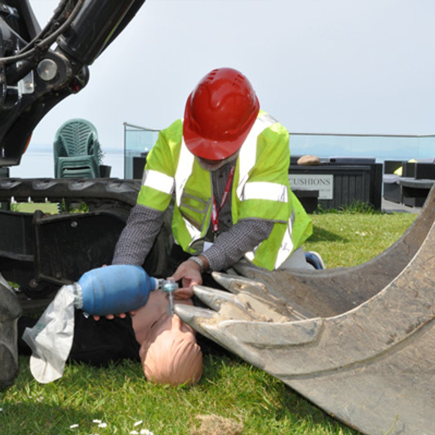 Media image 2