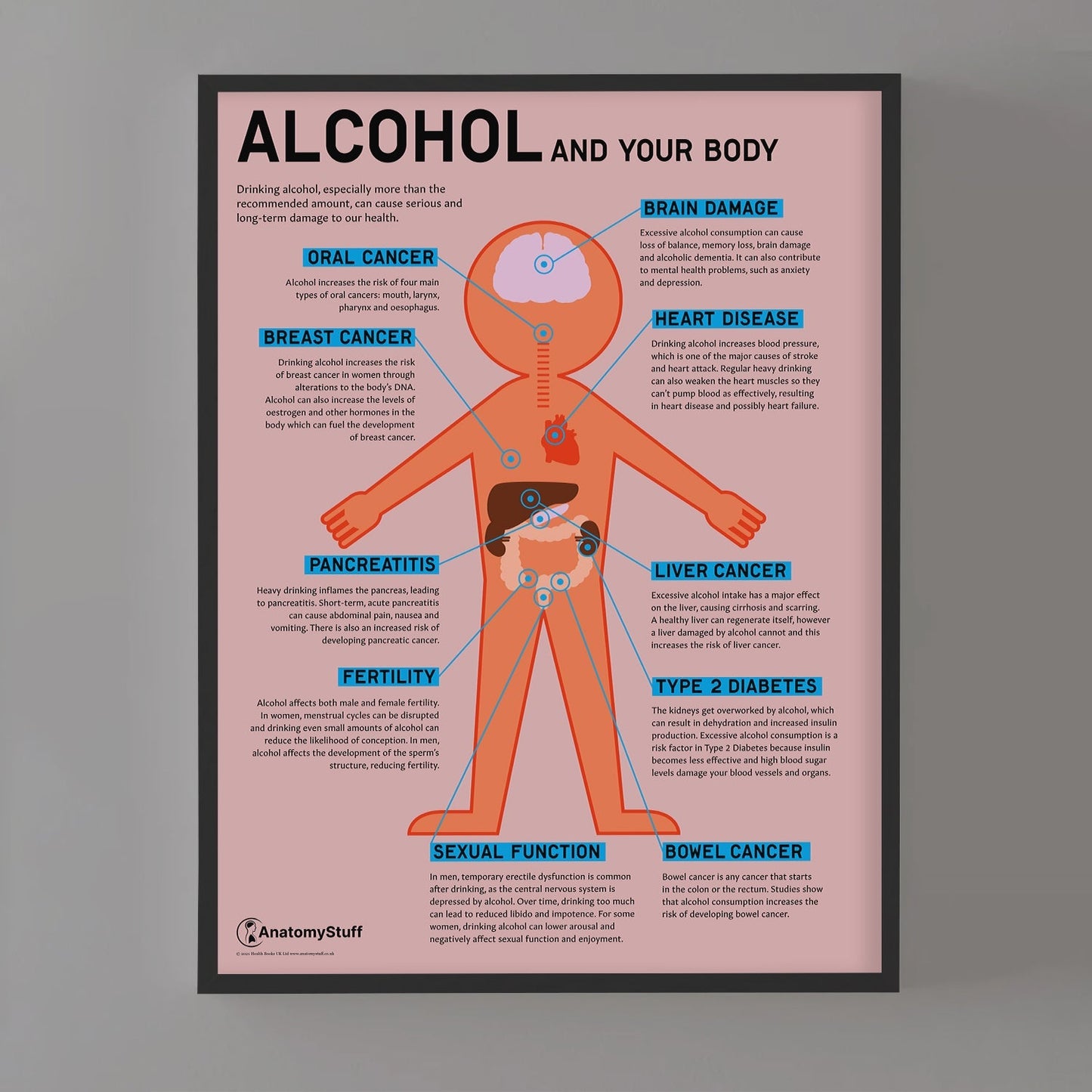 "Alcohol and Your Body" Drink Awareness Chart / Poster - Part of Collection