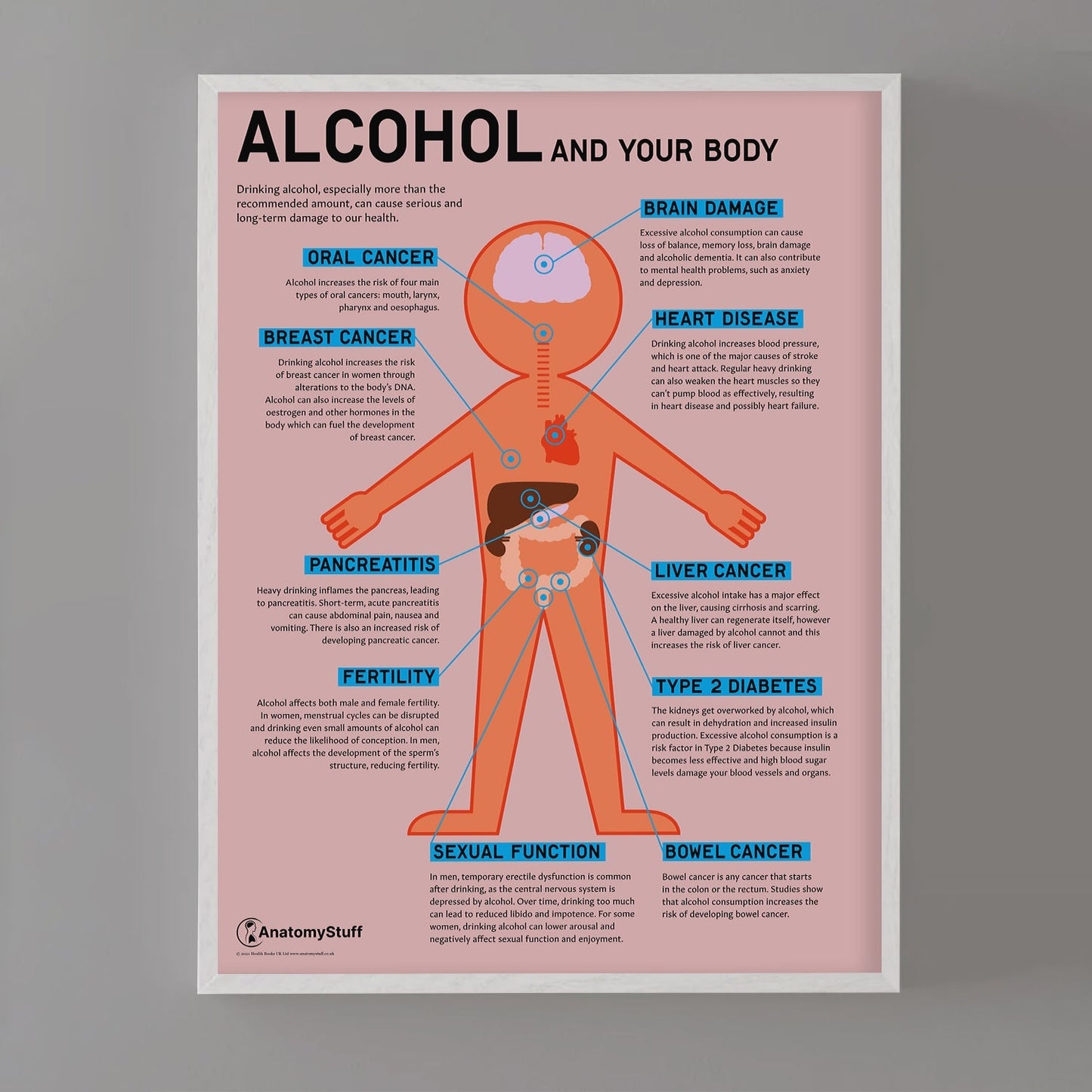 "Alcohol and Your Body" Drink Awareness Chart / Poster - Part of Collection