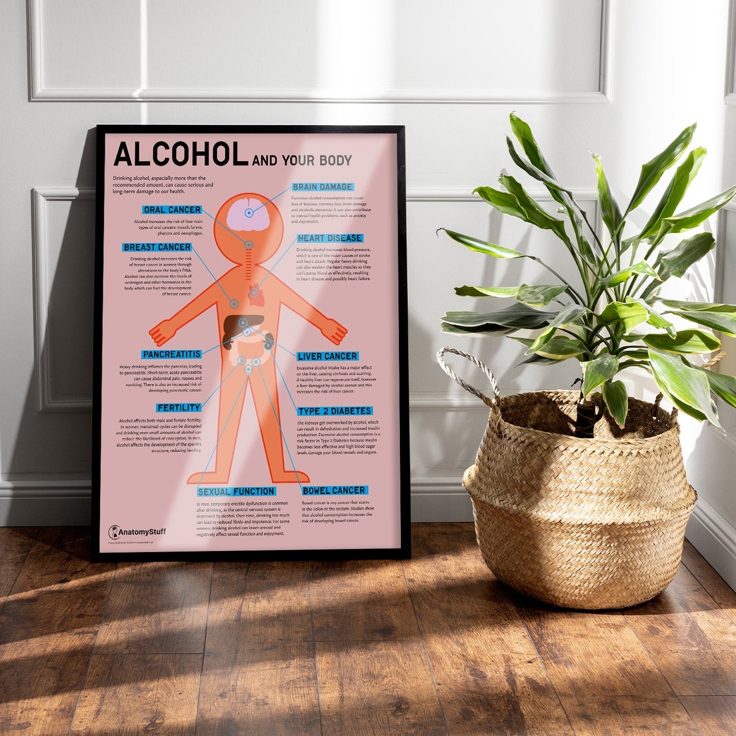 "Alcohol and Your Body" Drink Awareness Chart / Poster - Part of Collection