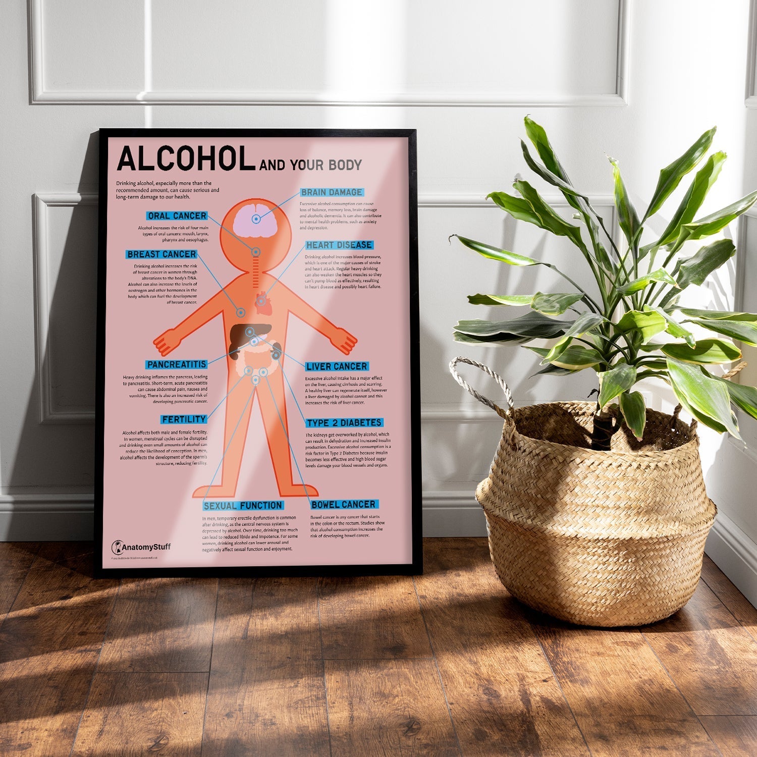 "Alcohol and Your Body" Drink Awareness Chart / Poster - Part of Collection