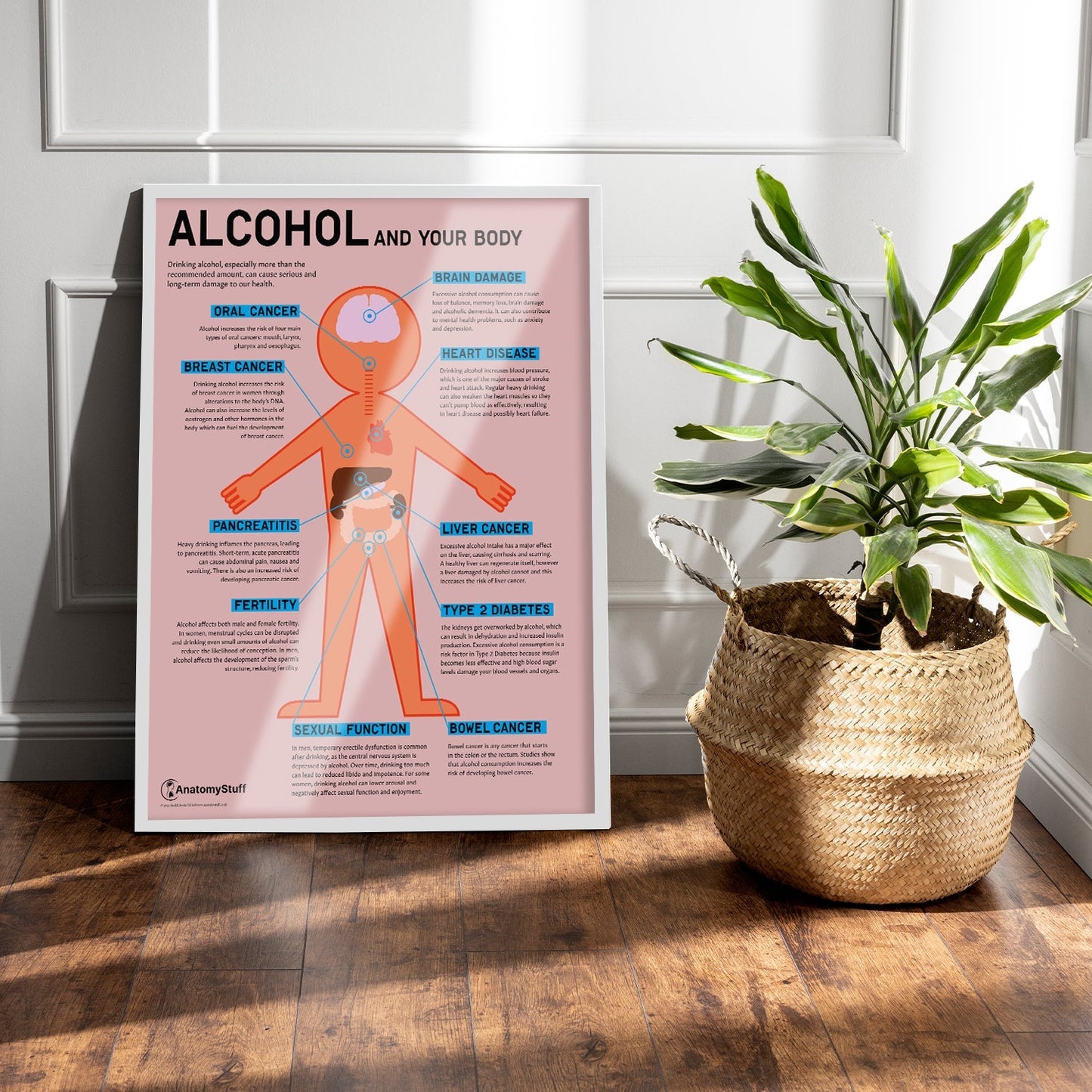 "Alcohol and Your Body" Drink Awareness Chart / Poster - Part of Collection