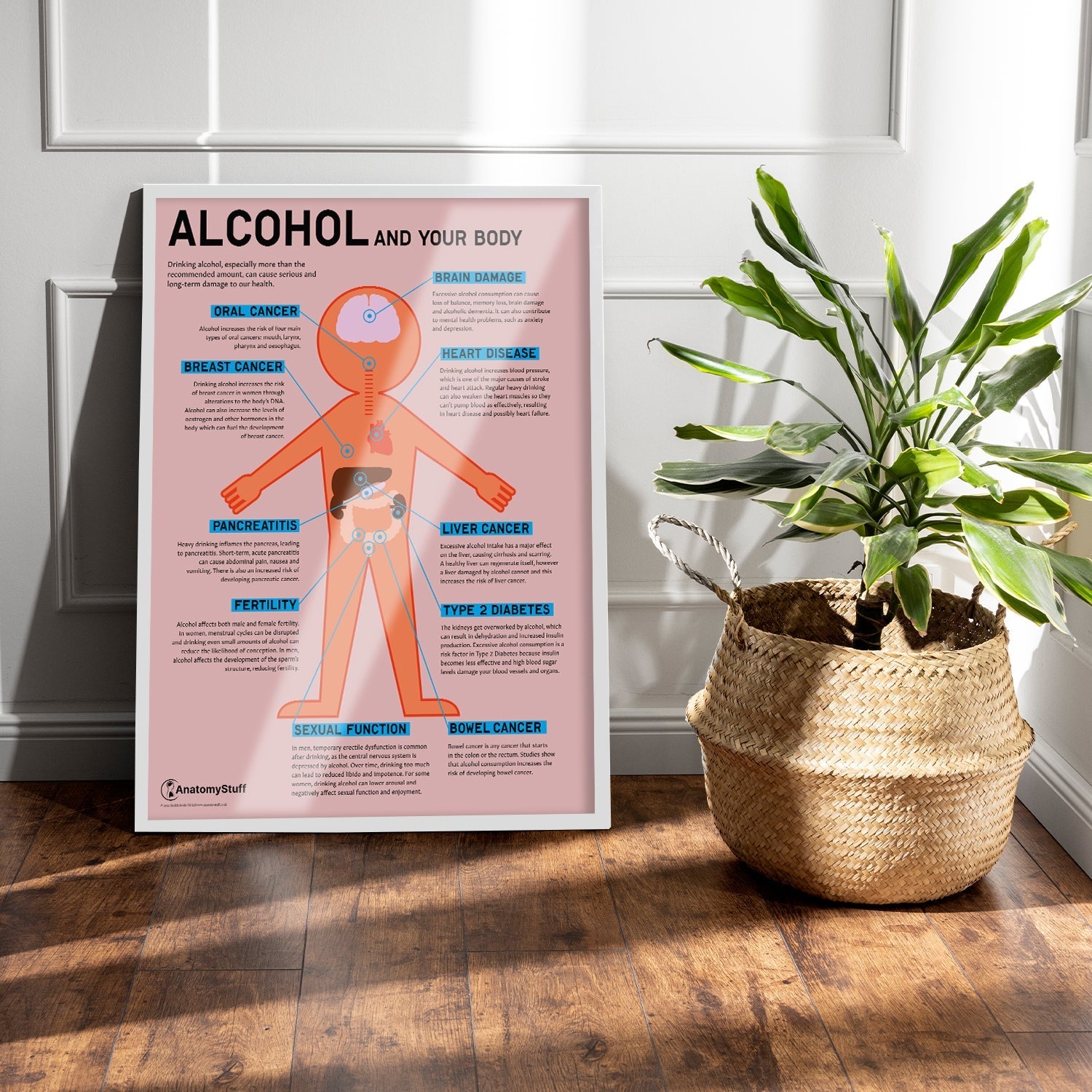 "Alcohol and Your Body" Drink Awareness Chart / Poster - Part of Collection