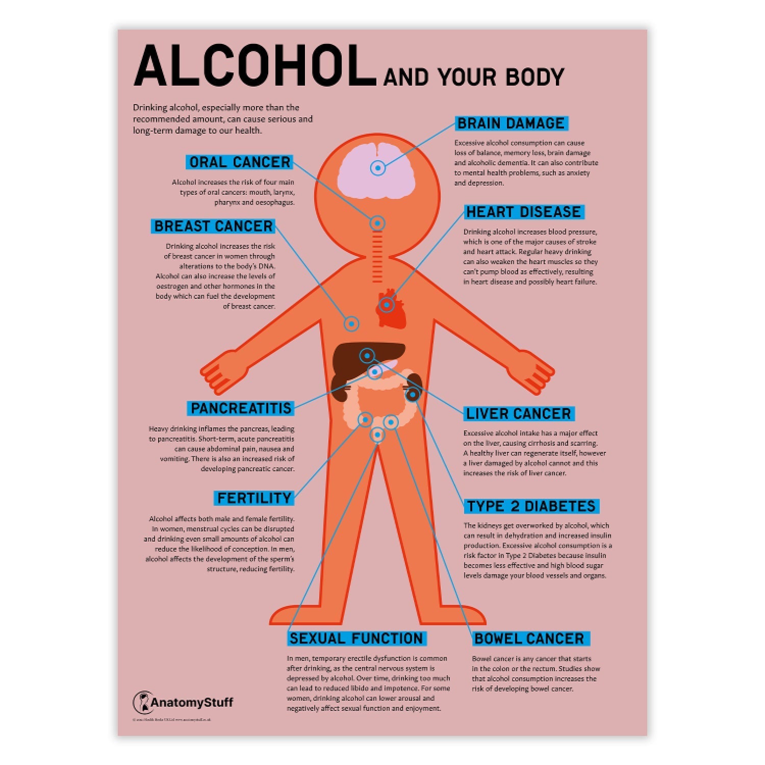 "Alcohol and Your Body" Drink Awareness Chart / Poster - Part of Collection