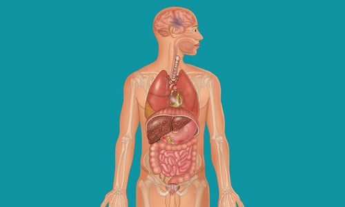 Media image 1