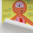Switch Anatomy for Children: The Body Organs Chart / Poster 2 image