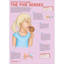 Switch Anatomy for Children The Five Senses Poster 2 image