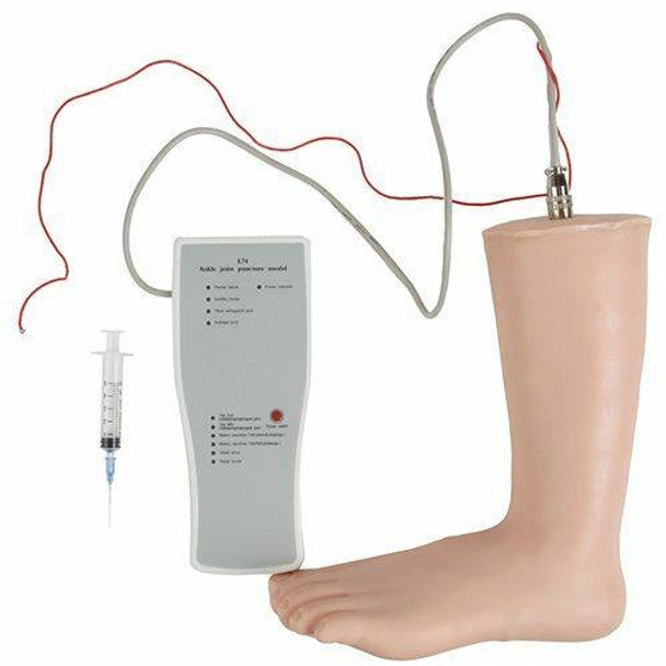 Ankle Injection Model