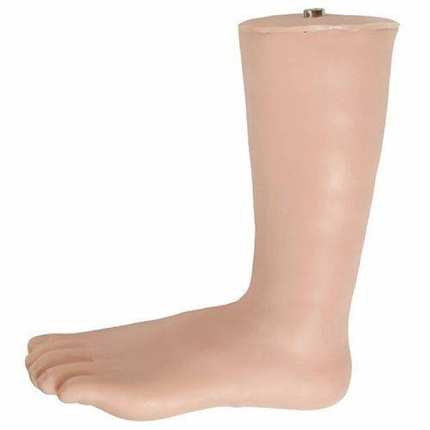 Ankle Injection Model