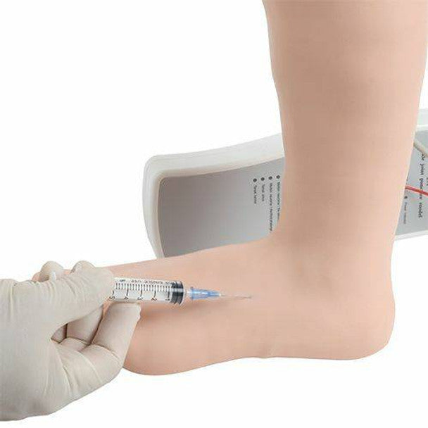 Ankle Injection Model