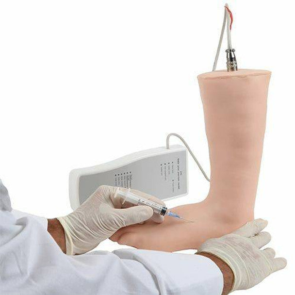 Ankle Injection Model
