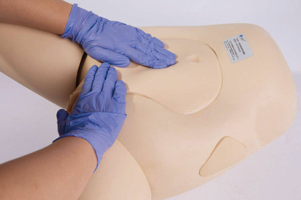 Fundus Assessment Skills Trainer