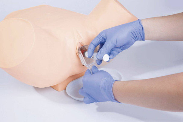 Posterior Vaginal Fornix Puncture Model
