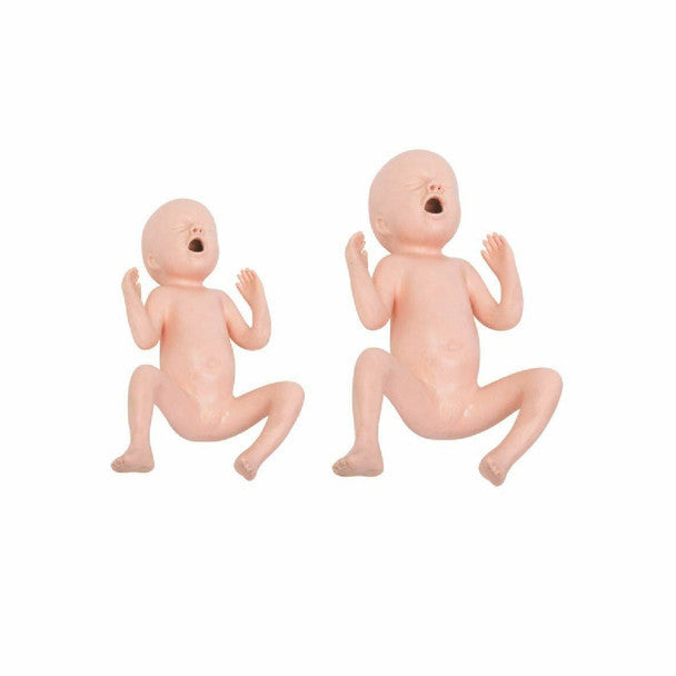 Twenty-Four Weeks Premature Infant Model