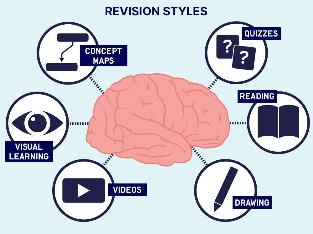 Anatomy Revision Hub – AnatomyStuff