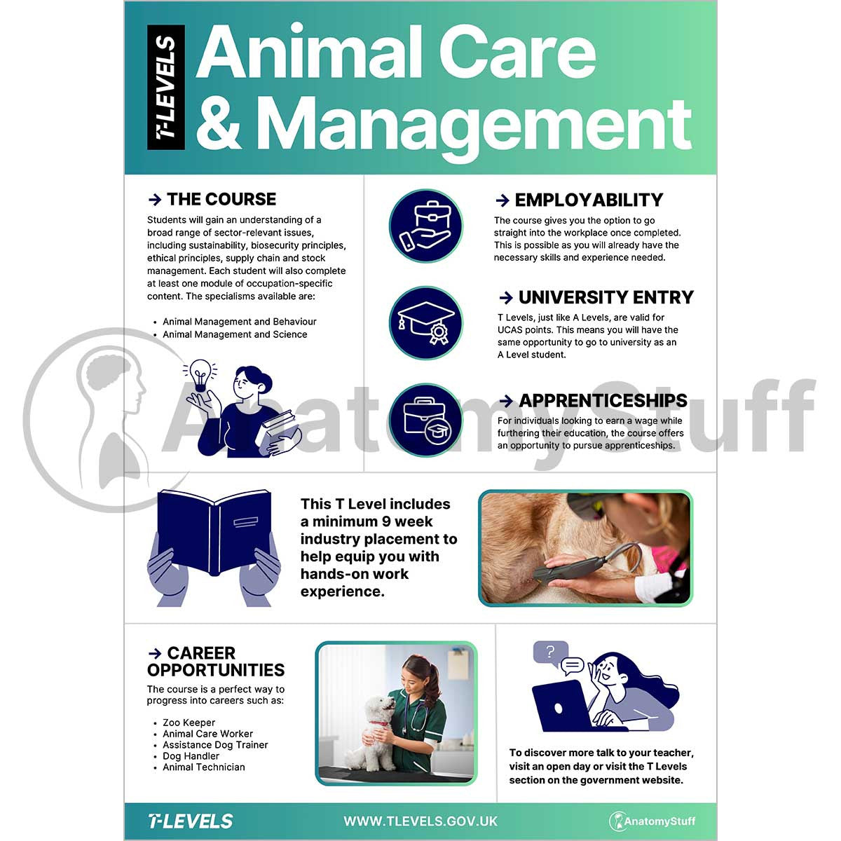 Animal Care & Management T Levels Informative Poster (Printable PDF)