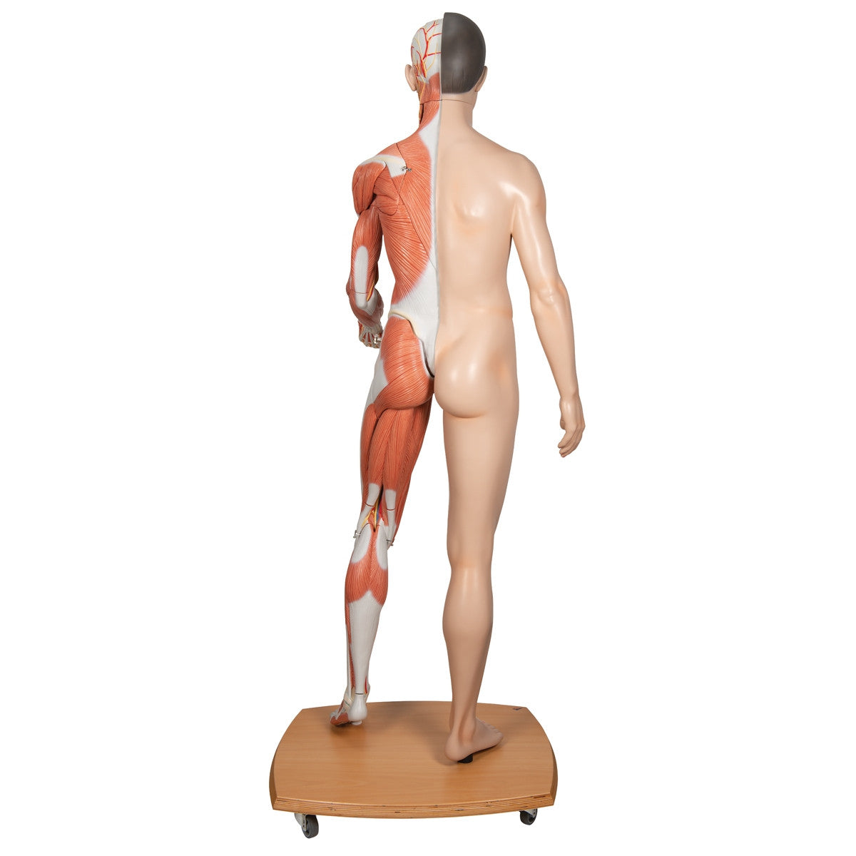 Image 2