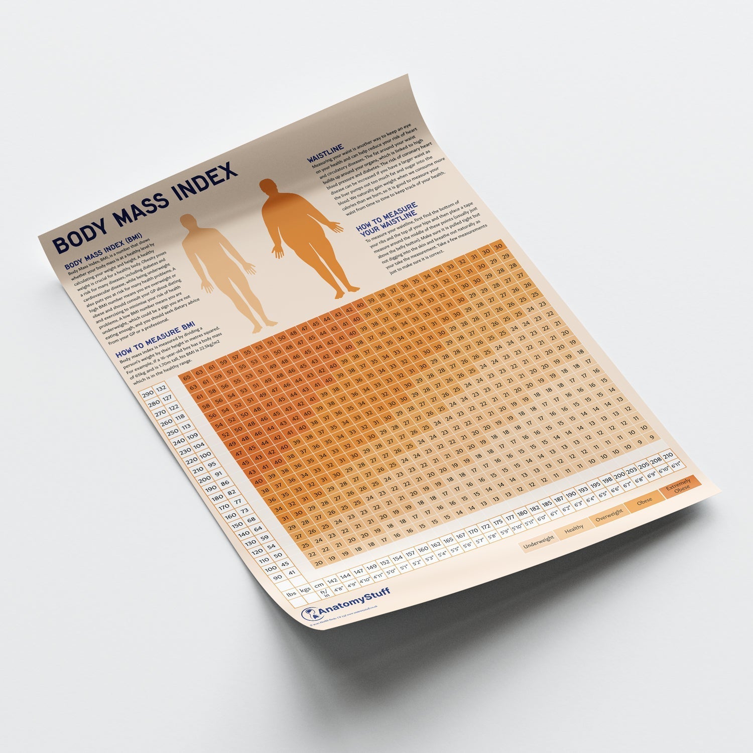 Body Mass Index (BMI) Chart / Poster - Part of Collection