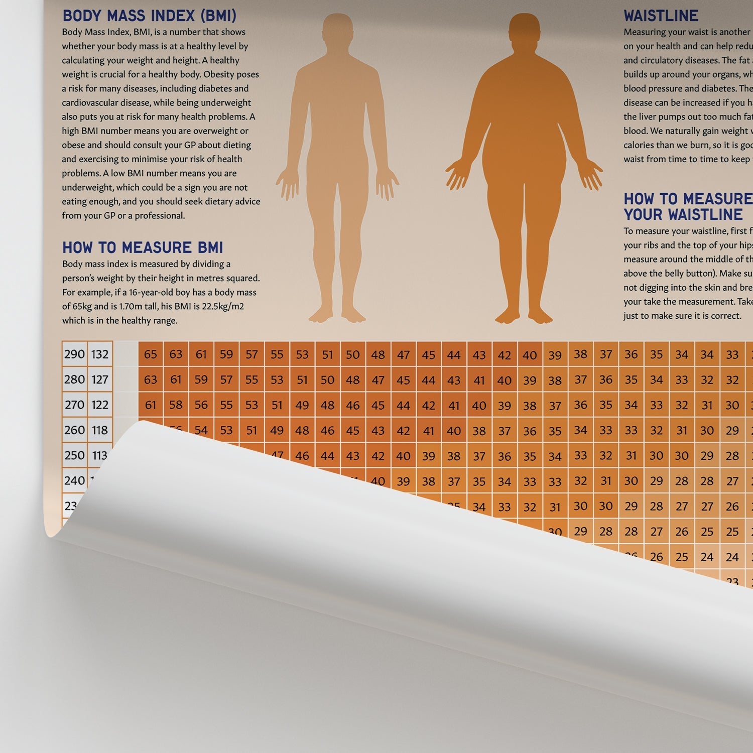 Body Mass Index (BMI) Chart / Poster - Part of Collection