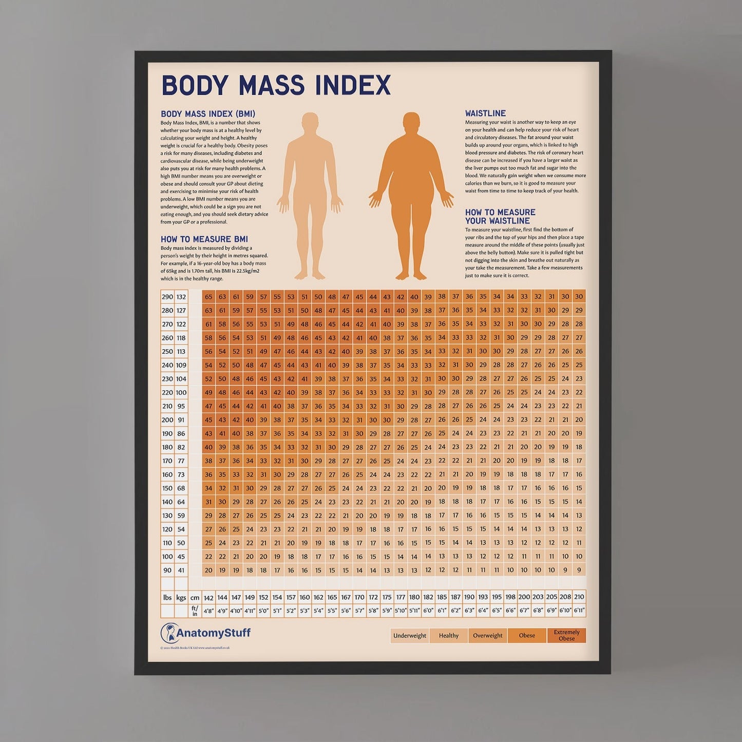 Body Mass Index (BMI) Chart / Poster - Part of Collection