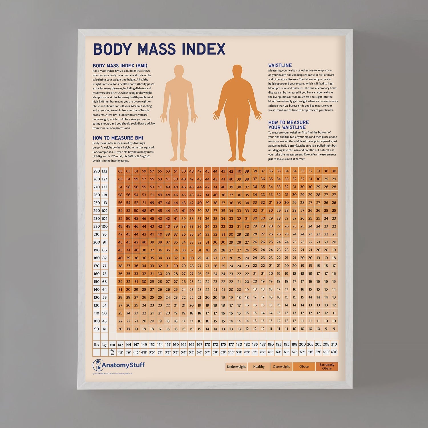 Body Mass Index (BMI) Chart / Poster - Part of Collection