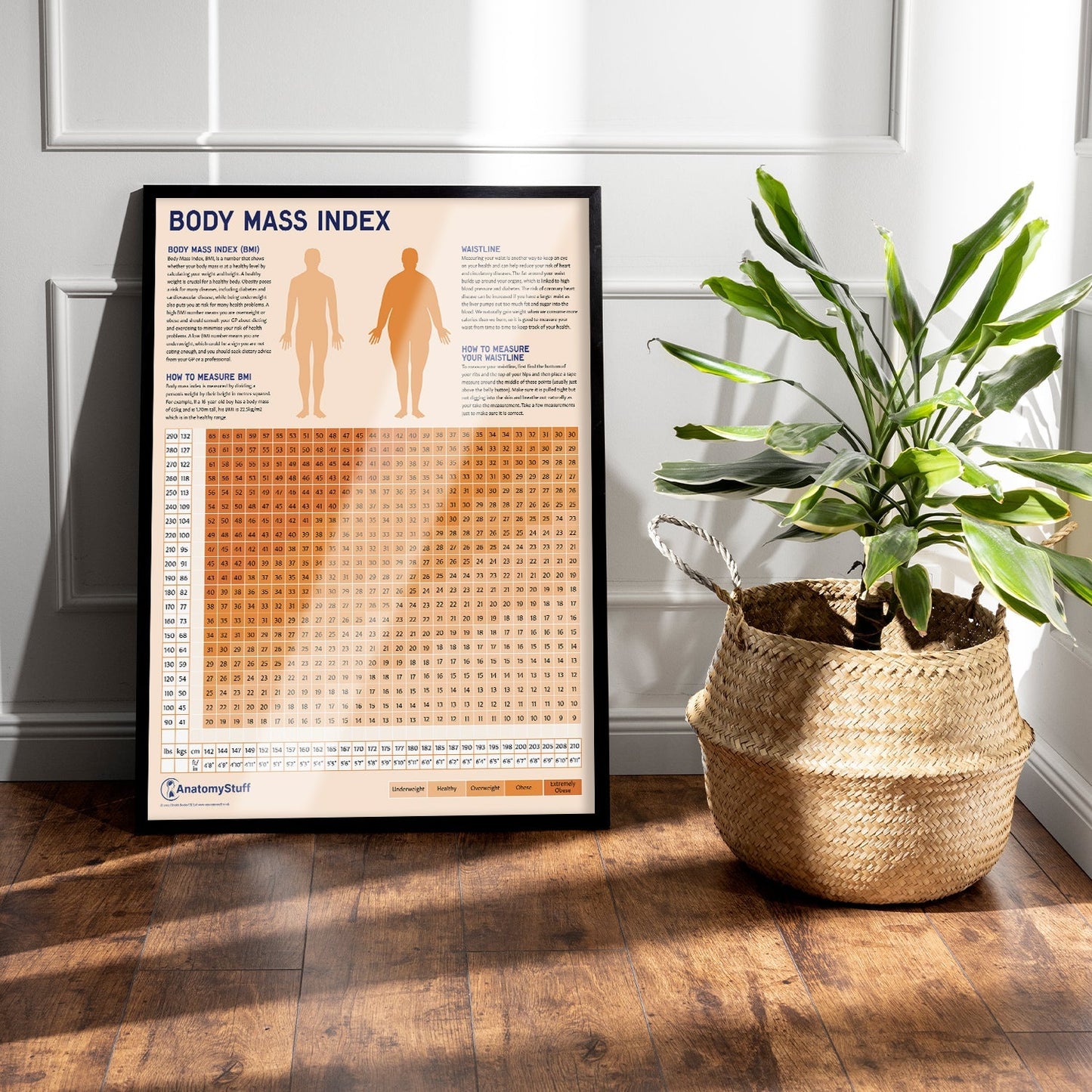 Body Mass Index (BMI) Chart / Poster - Part of Collection