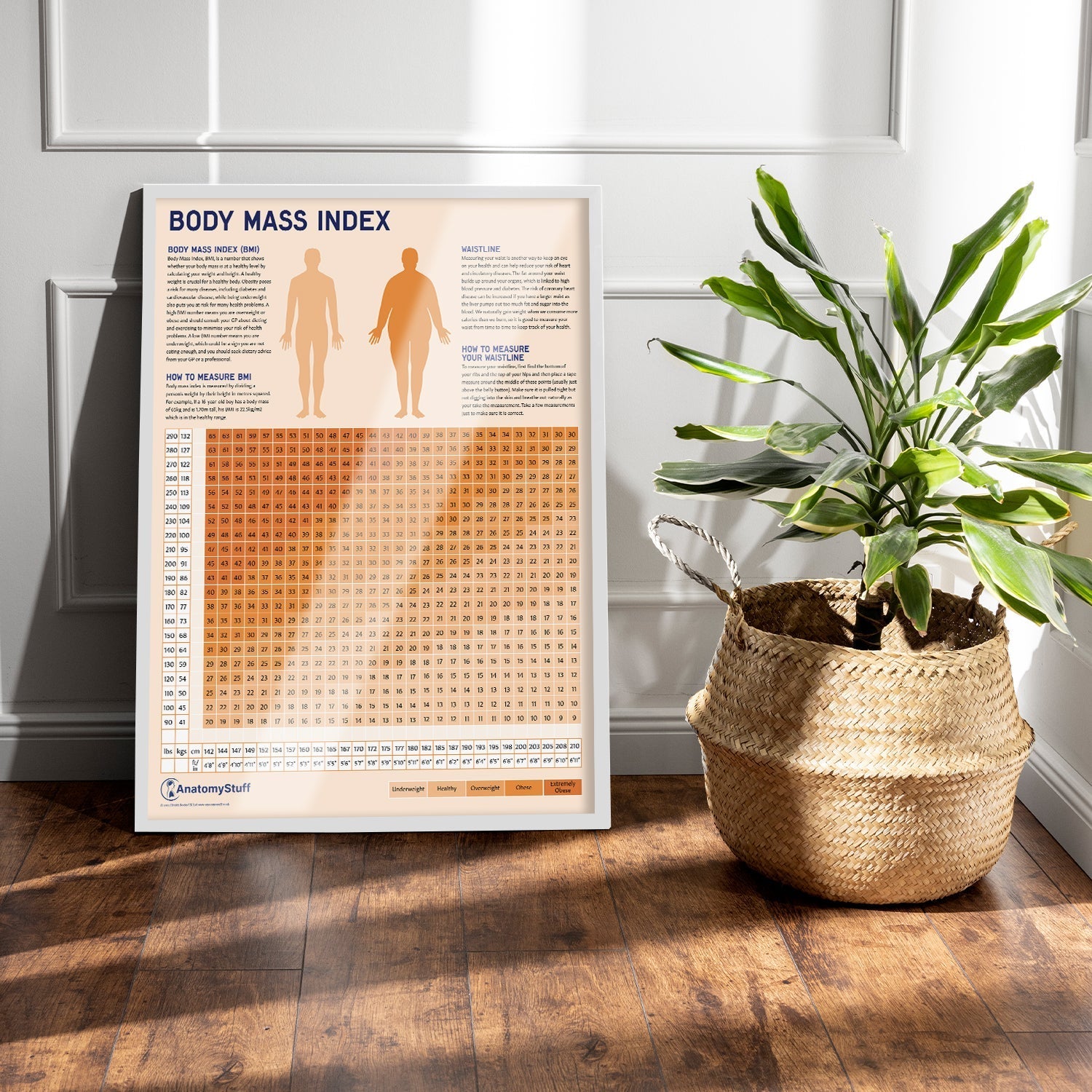 Body Mass Index (BMI) Chart / Poster - Part of Collection