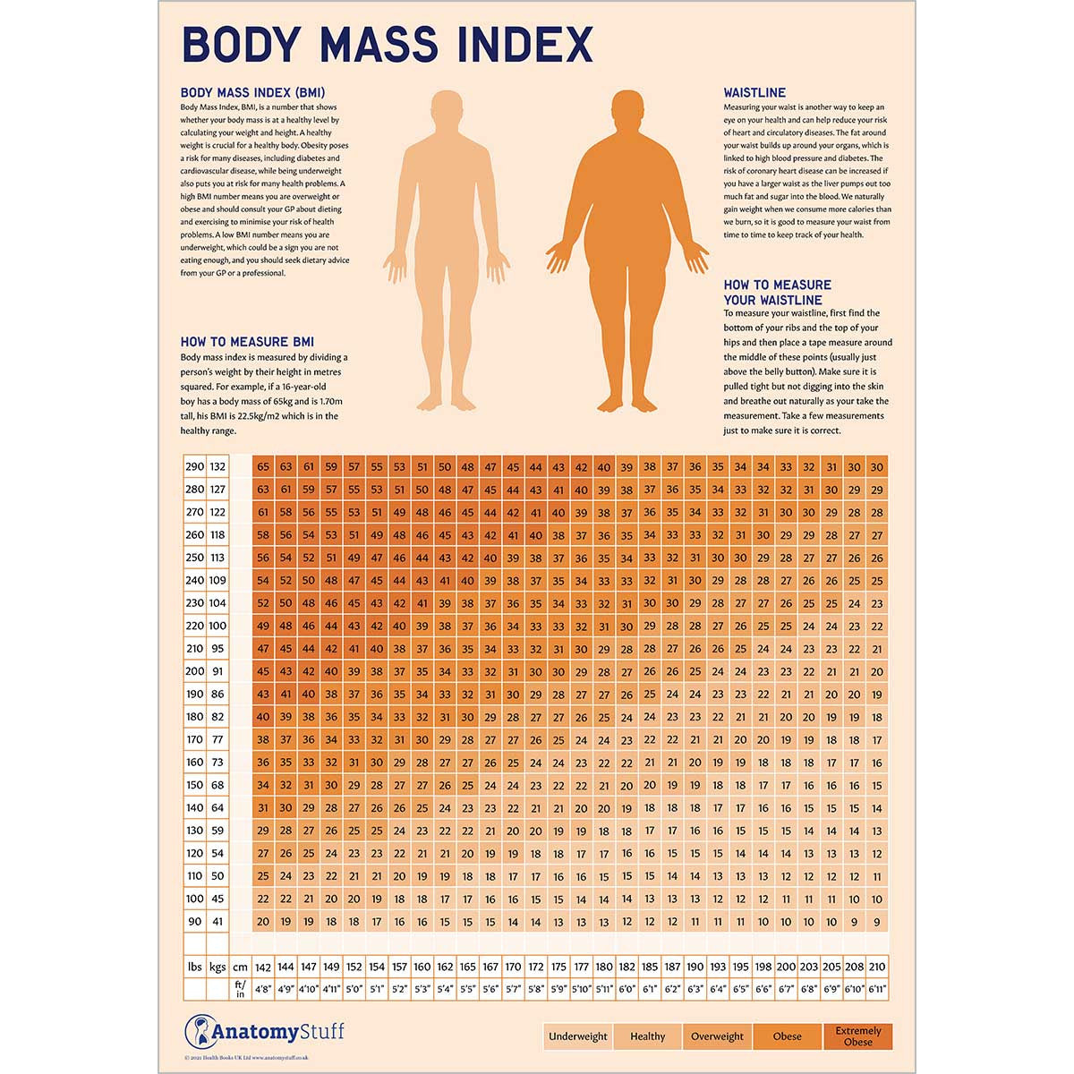 Body Mass Index (BMI) Poster