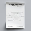 Switch Bovine Anatomy Activity Sheet PDF 2 image
