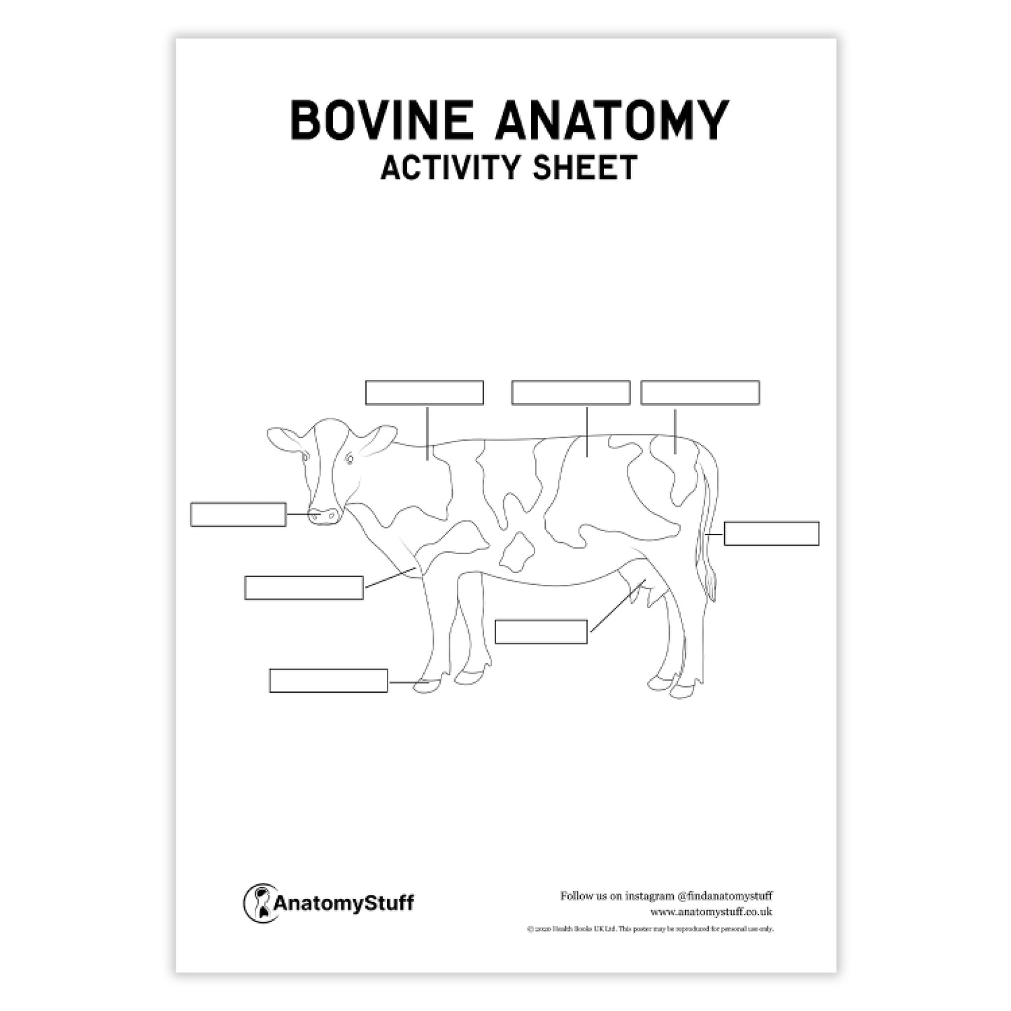 Bovine Anatomy Activity Sheet PDF