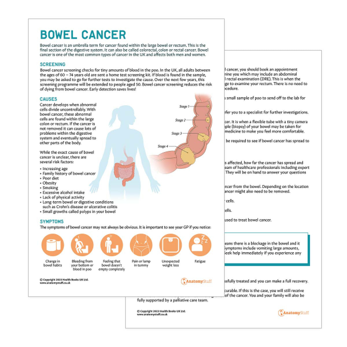 Bowel Cancer Patient Education Handout (Printable PDF)