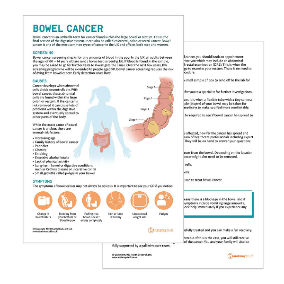 Bowel Cancer Patient Education Handout (Printable PDF)