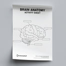 Switch Brain Anatomy Activity Sheet PDF 2 image